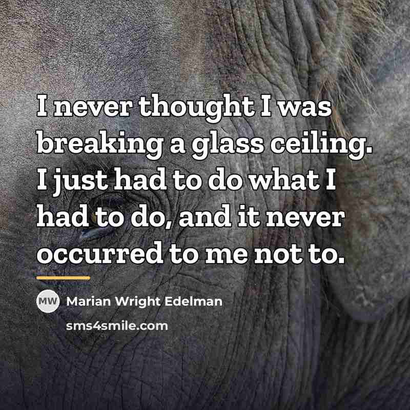 “I never thought I was breaking a glass ceiling. I…” quote by Marian Wright Edelman