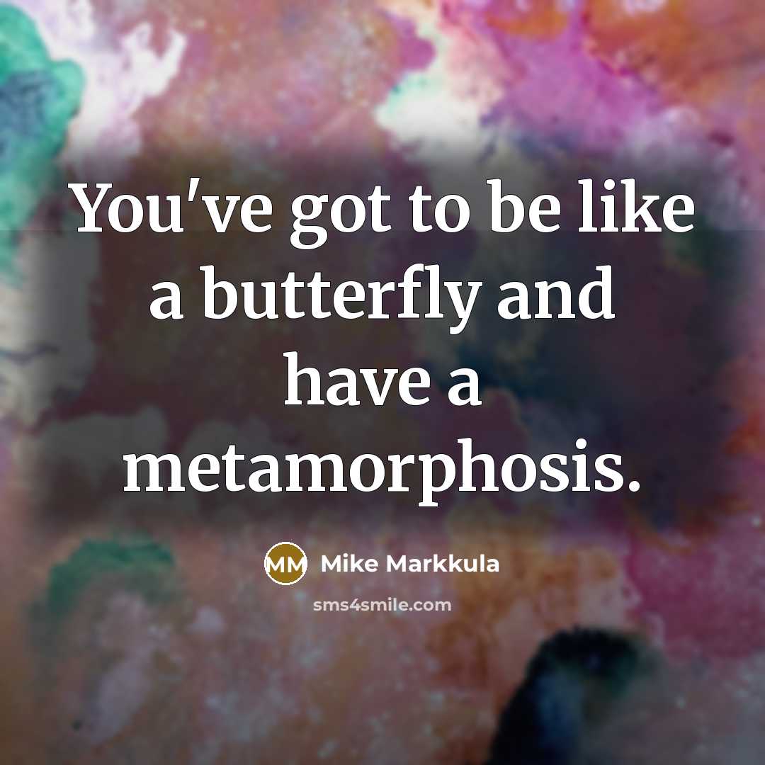 “You've got to be like a butterfly and have a…” quote by Mike Markkula