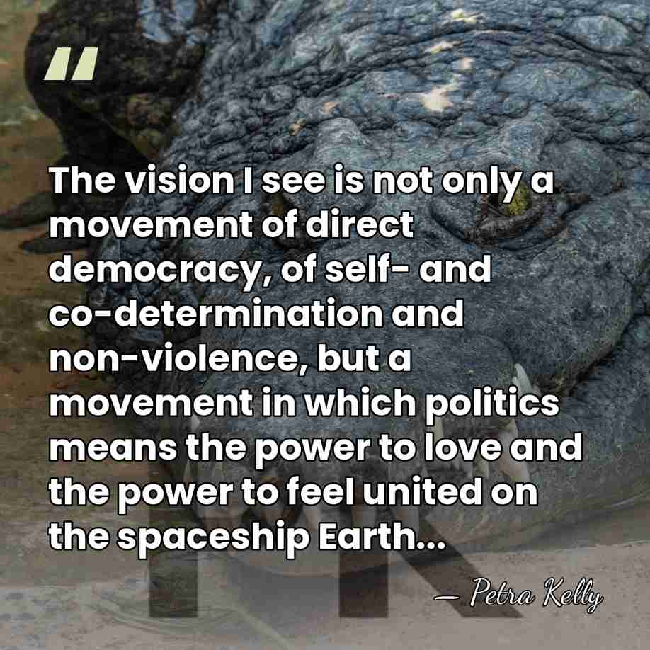 The vision I see is not only a movement of direct democracy,&hellip; - Petra Kelly
