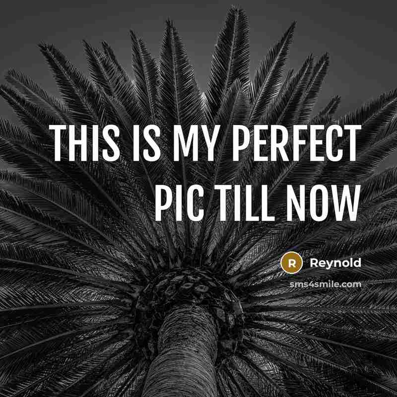 “This is my perfect pic till now…” quote by Reynold