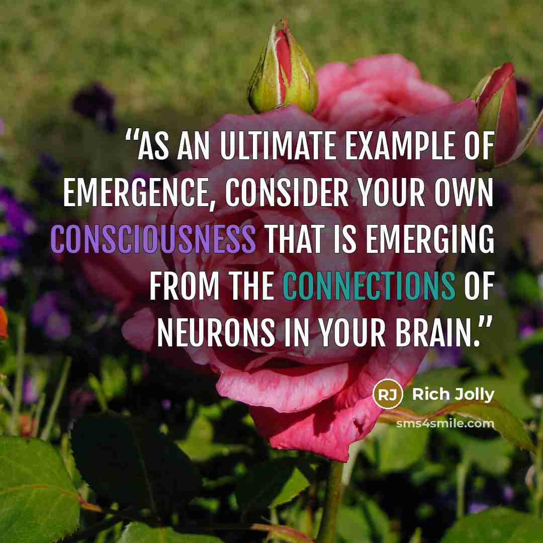“As an ultimate example of emergence, consider your own consciousness that is emerging from the connections of neurons in your brain.” quote by Rich Jolly