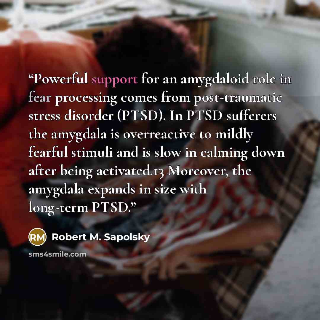 “Powerful support for an amygdaloid role in fear processing comes from post-traumatic stress disorder (PTSD). In PTSD sufferers the amygdala is overreactive to mildly fearful stimuli and is slow in calming down after being activated.13 Moreover, the amygdala expands in size with long-term PTSD.” quote by Robert M. Sapolsky