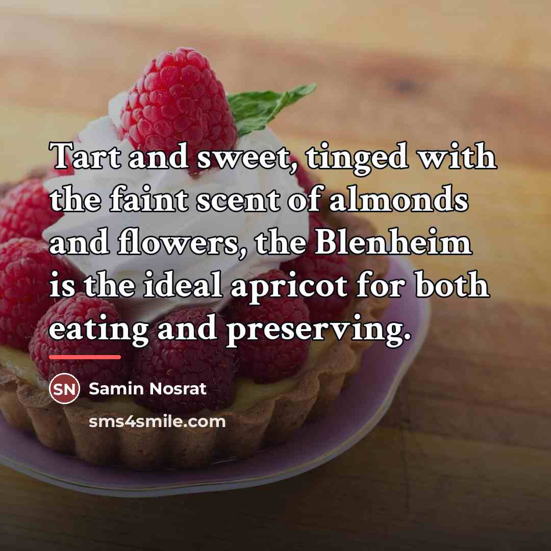 “Tart and sweet, tinged with the faint scent of almonds…” quote by Samin Nosrat
