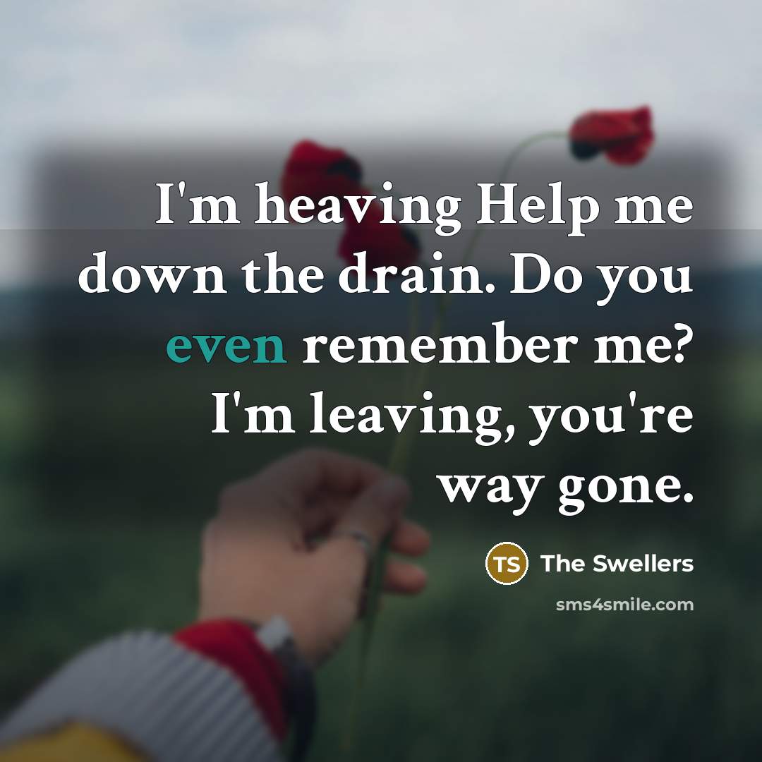 “I'm heaving Help me down the drain. Do you even…” quote by The Swellers