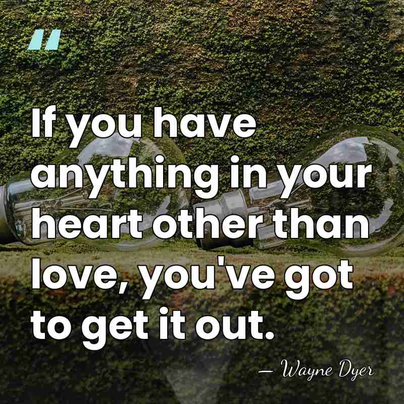 If you have anything in your heart other than love, you've got&hellip; - Wayne Dyer