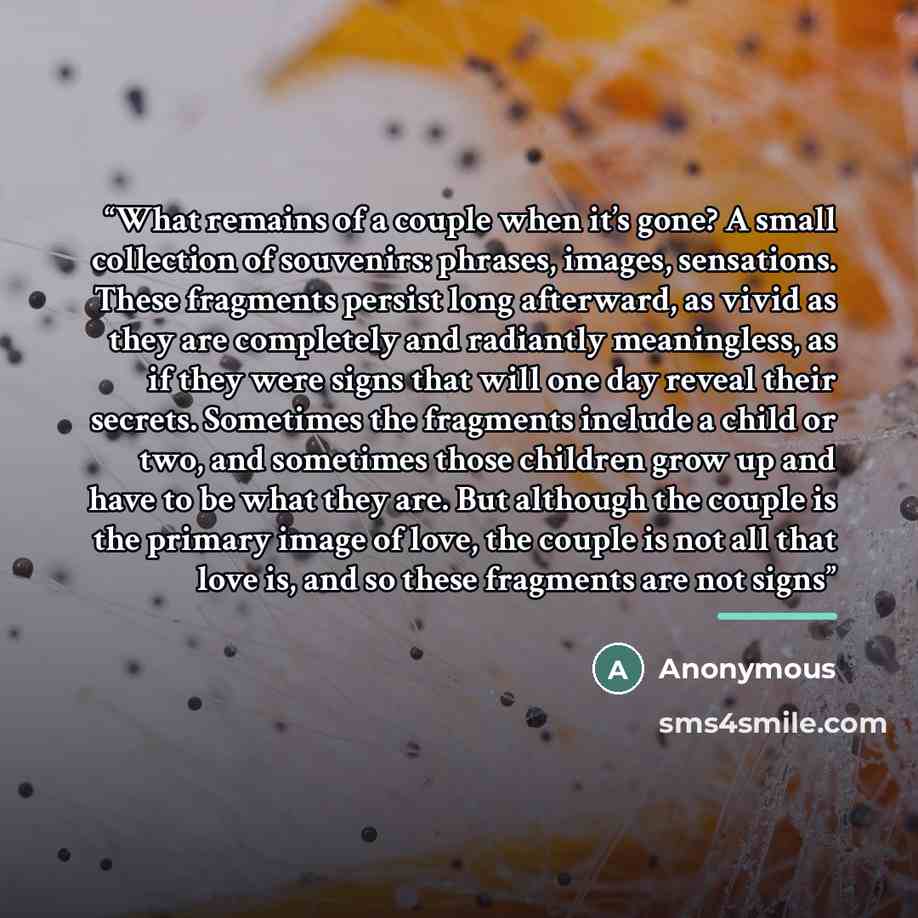 “What remains of a couple when it’s gone? A small collection of souvenirs: phrases, images, sensations. These fragments persist long afterward, as vivid as they are completely and radiantly meaningless, as if they were signs that will one day reveal their secrets. Sometimes the fragments include a…” quote by Anonymous