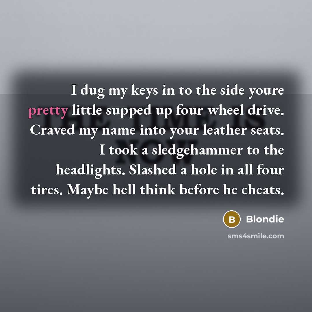 “I dug my keys in to the side youre pretty…” quote by Blondie
