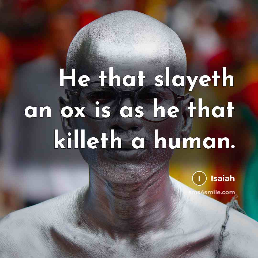 “He that slayeth an ox is as he that killeth…” quote by Isaiah