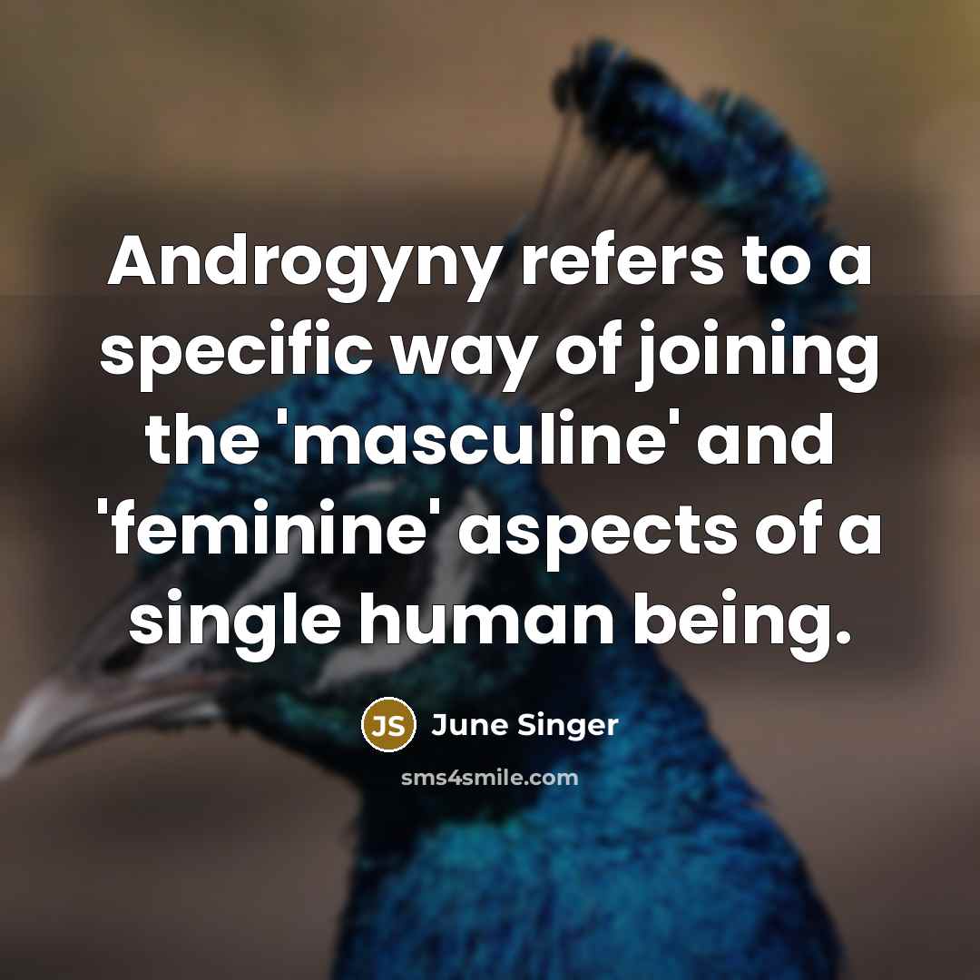 “Androgyny refers to a specific way of joining the 'masculine'…” quote by June Singer