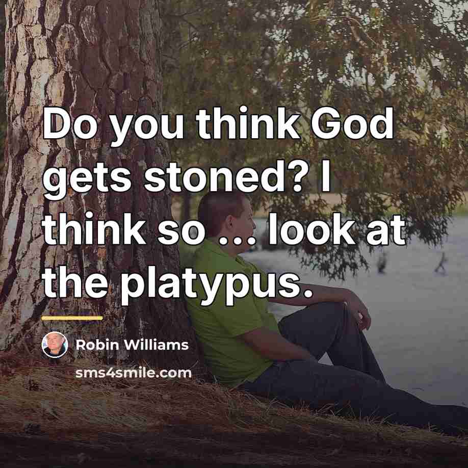 “Do you think God gets stoned? I think so ...…” quote by Robin Williams