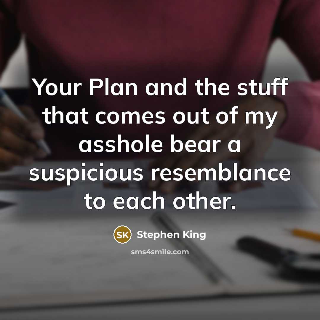 “Your Plan and the stuff that comes out of my asshole bear a suspicious resemblance to each other.” quote by Stephen King