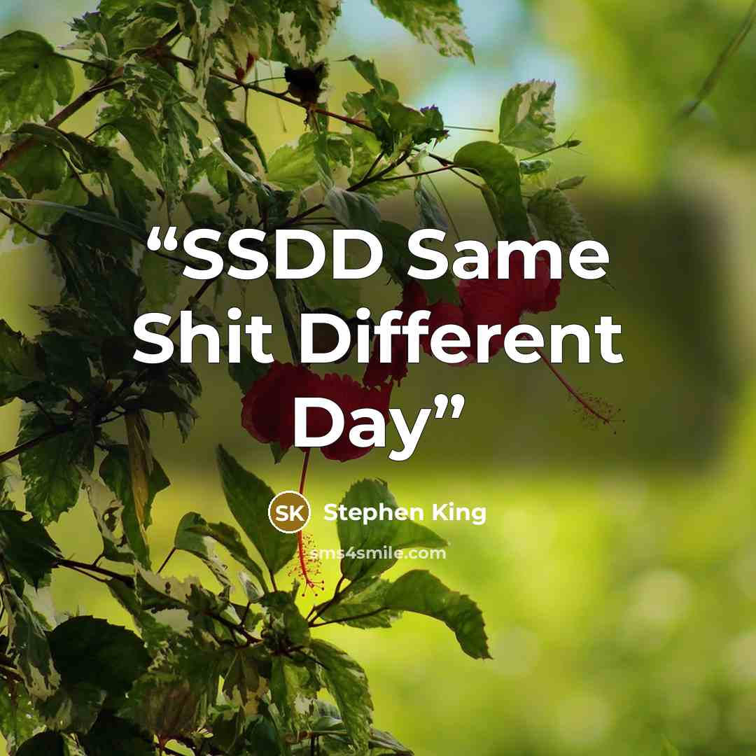 “SSDD Same Shit Different Day” quote by Stephen King