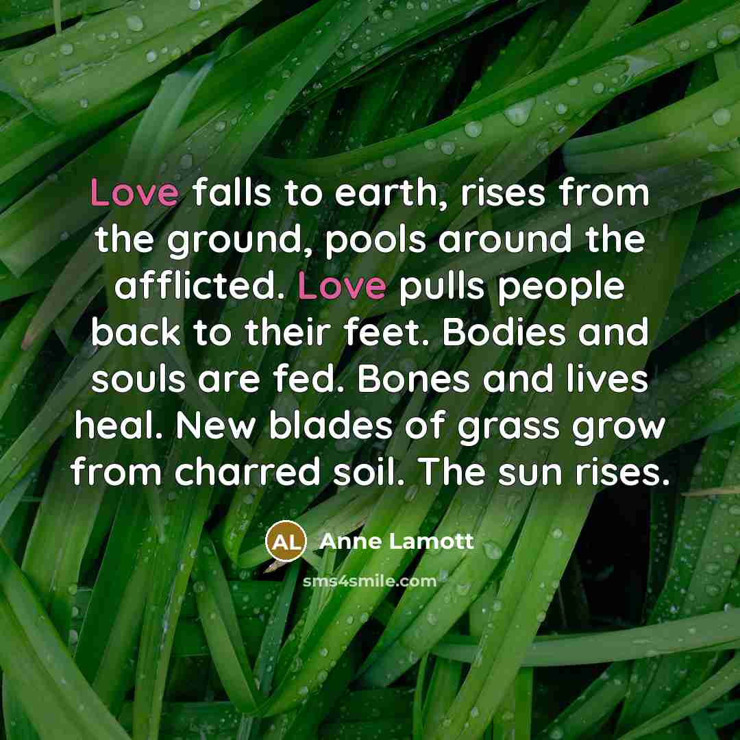 “Love falls to earth, rises from the ground, pools around…” quote by Anne Lamott