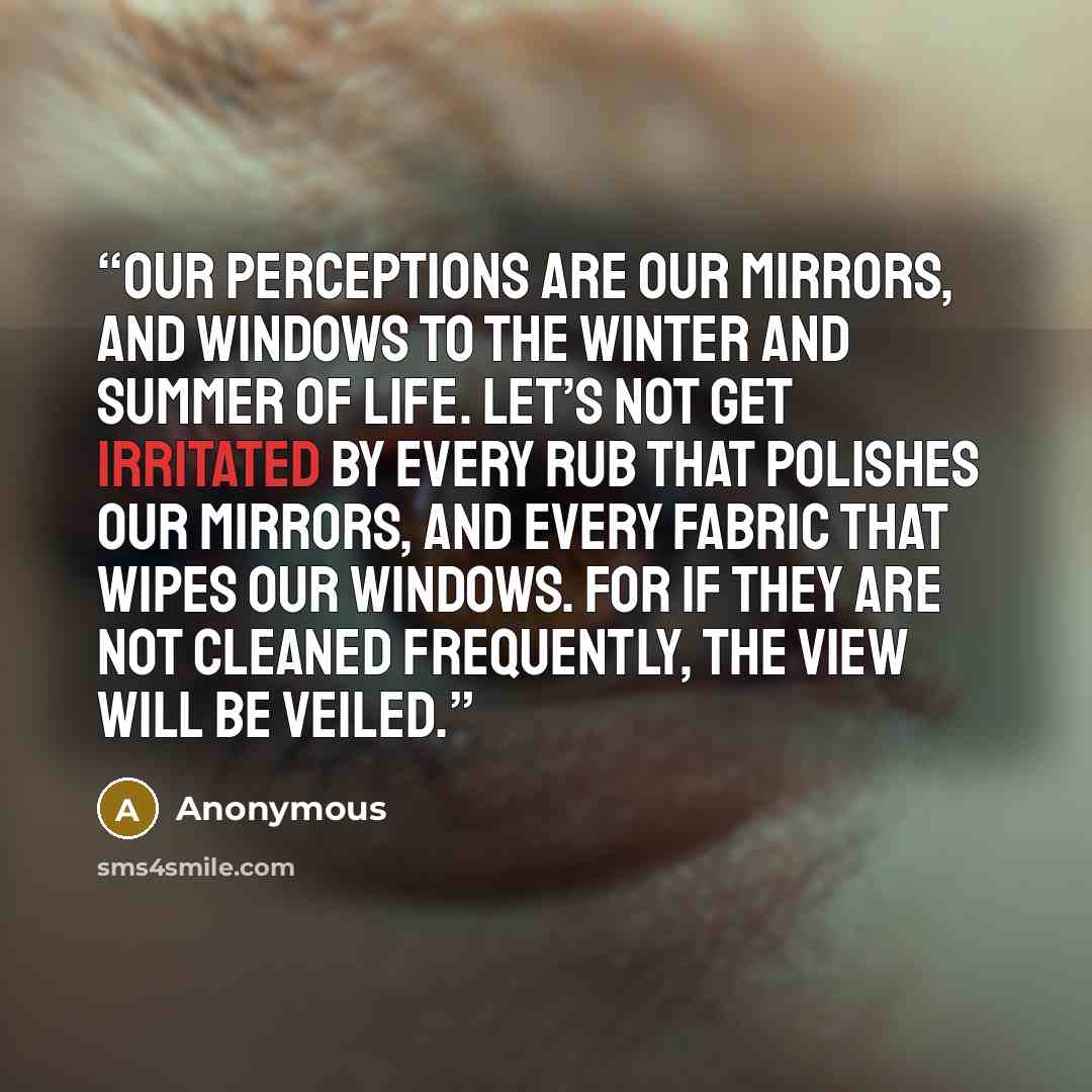 “Our perceptions are our mirrors, and windows to the winter and summer of life. Let’s not get irritated by every rub that polishes our mirrors, and every fabric that wipes our windows. For if they are not cleaned frequently, the view will be veiled.” quote by Anonymous