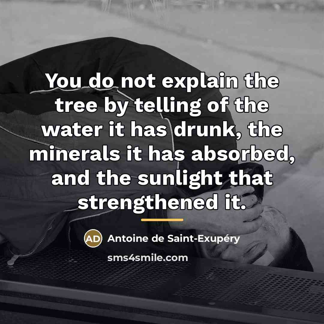 “You do not explain the tree by telling of the…” quote by Antoine de Saint-Exupery