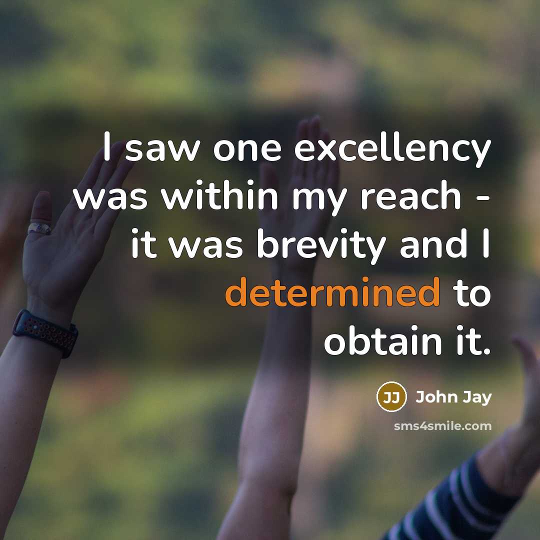“I saw one excellency was within my reach - it…” quote by John Jay
