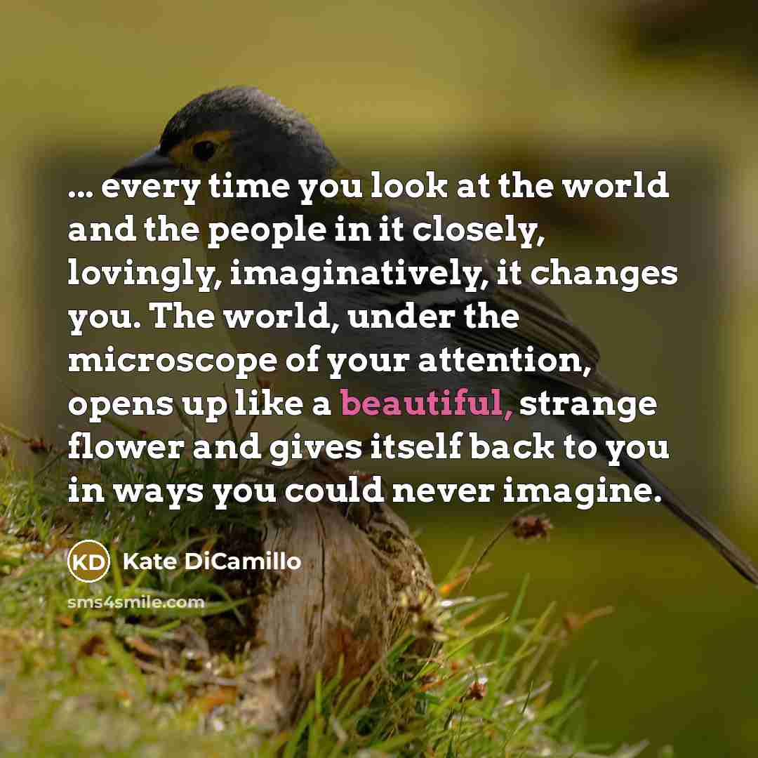“... every time you look at the world and the…” quote by Kate DiCamillo