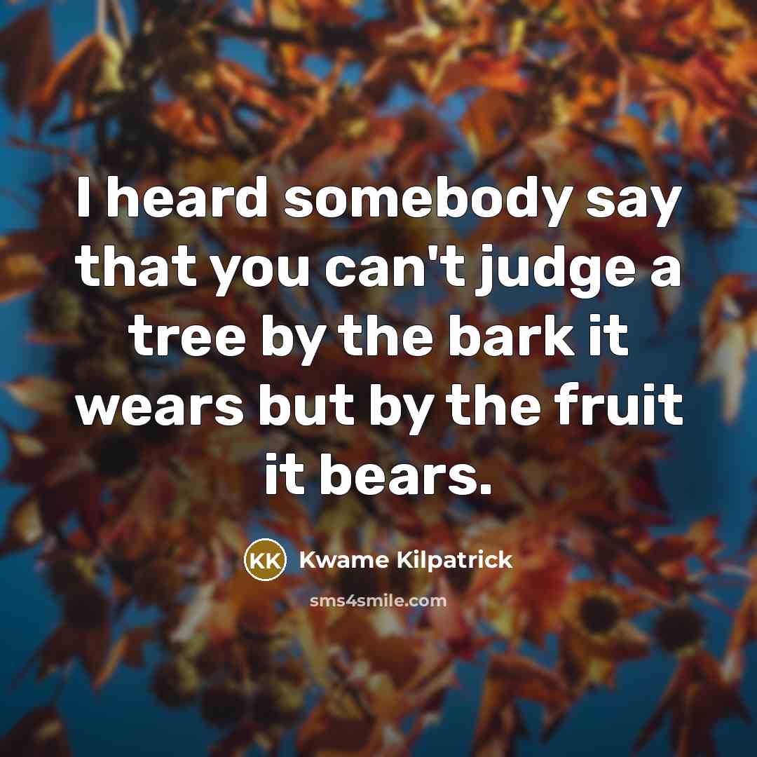 “I heard somebody say that you can't judge a tree…” quote by Kwame Kilpatrick
