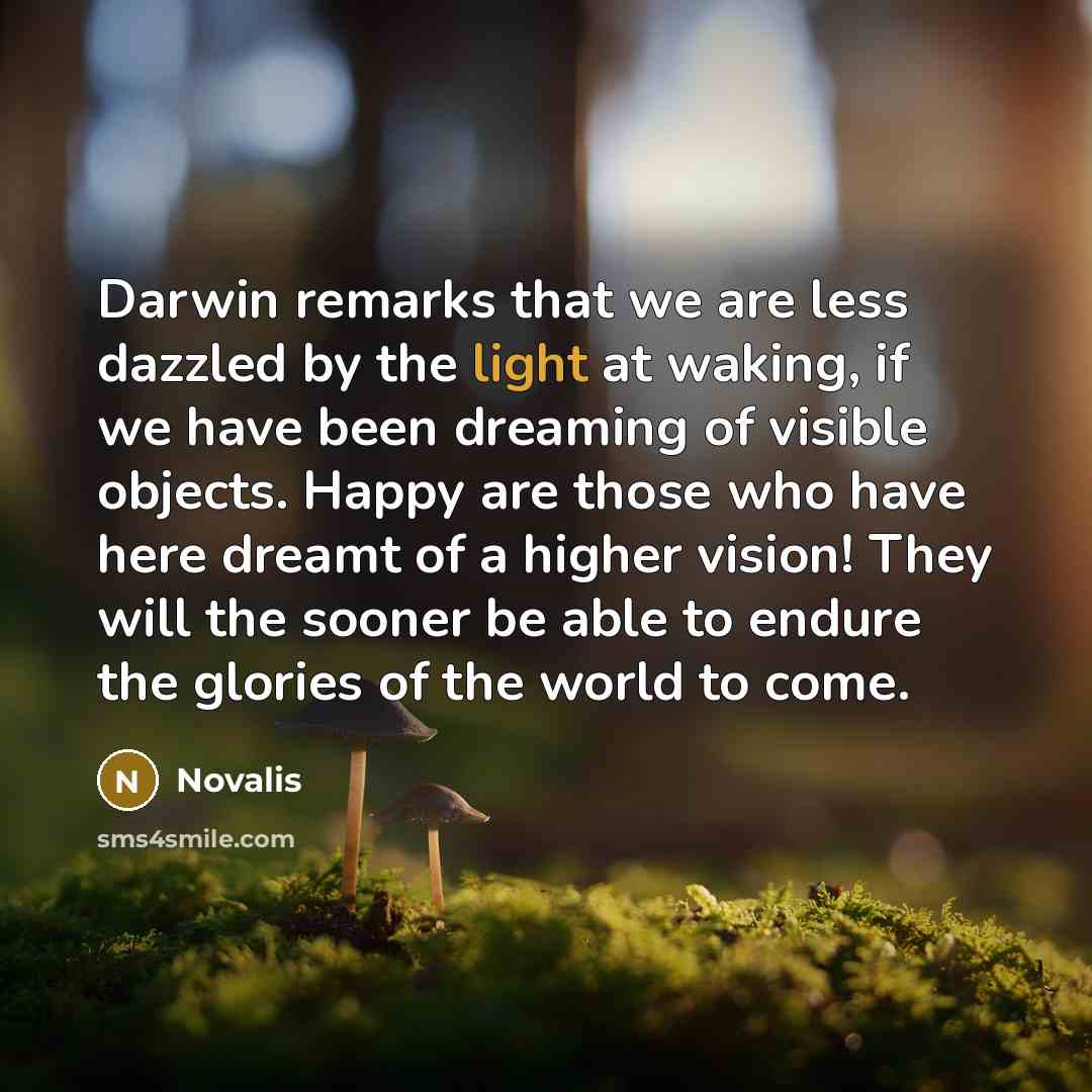“Darwin remarks that we are less dazzled by the light…” quote by Novalis