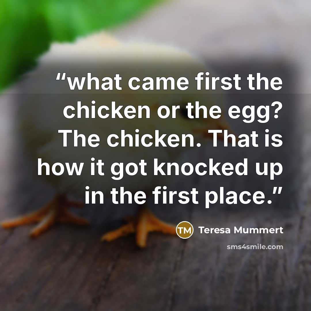 “what came first the chicken or the egg? The chicken. That is how it got knocked up in the first place.” quote by Teresa Mummert