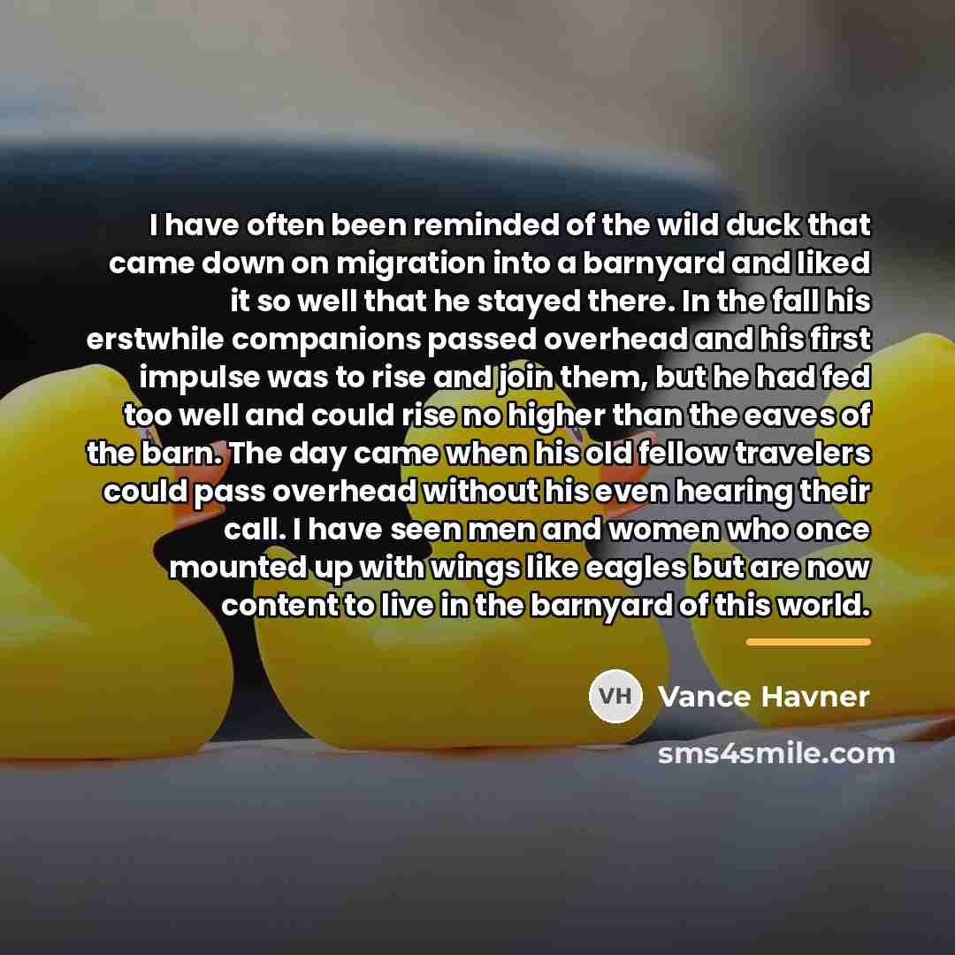 “I have often been reminded of the wild duck that…” quote by Vance Havner
