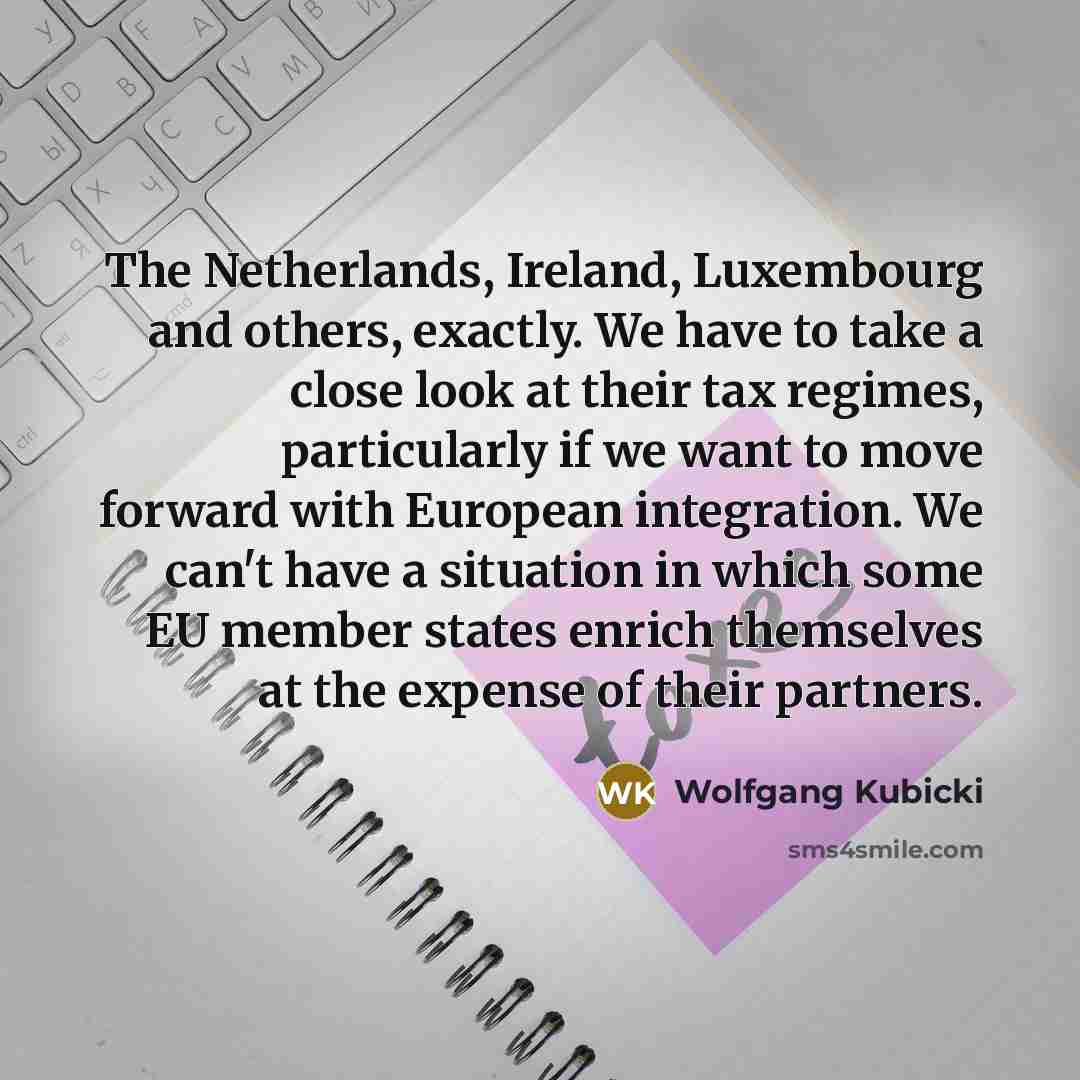 “The Netherlands, Ireland, Luxembourg and others, exactly. We have to…” quote by Wolfgang Kubicki