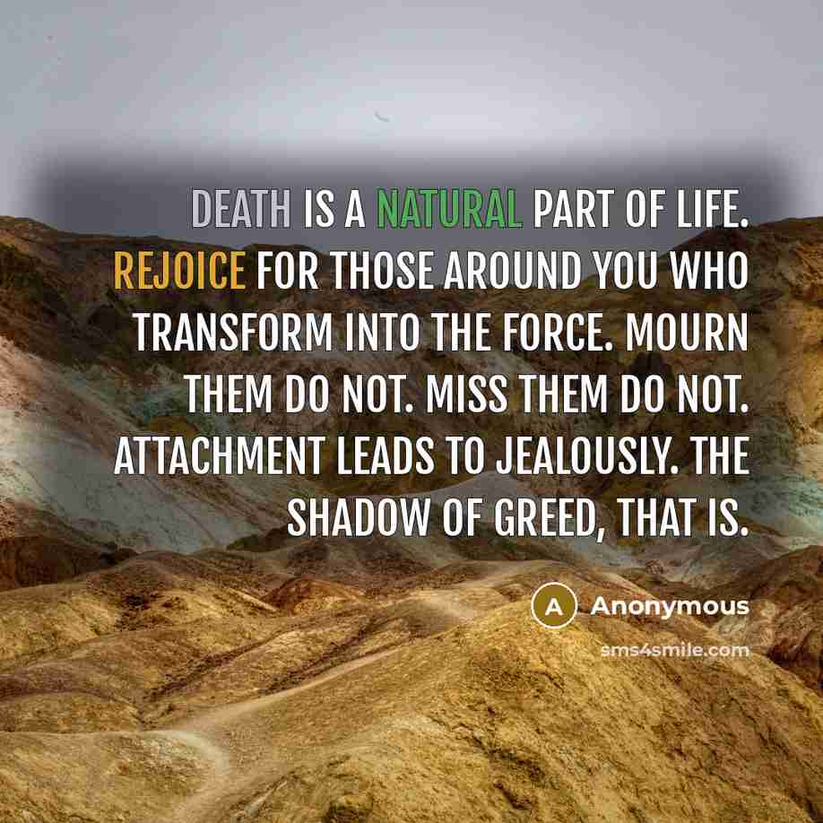 “Death is a natural part of life. Rejoice for those around you who transform into the Force. Mourn them do not. Miss them do not. Attachment leads to jealously. The shadow of greed, that is.” quote by Anonymous