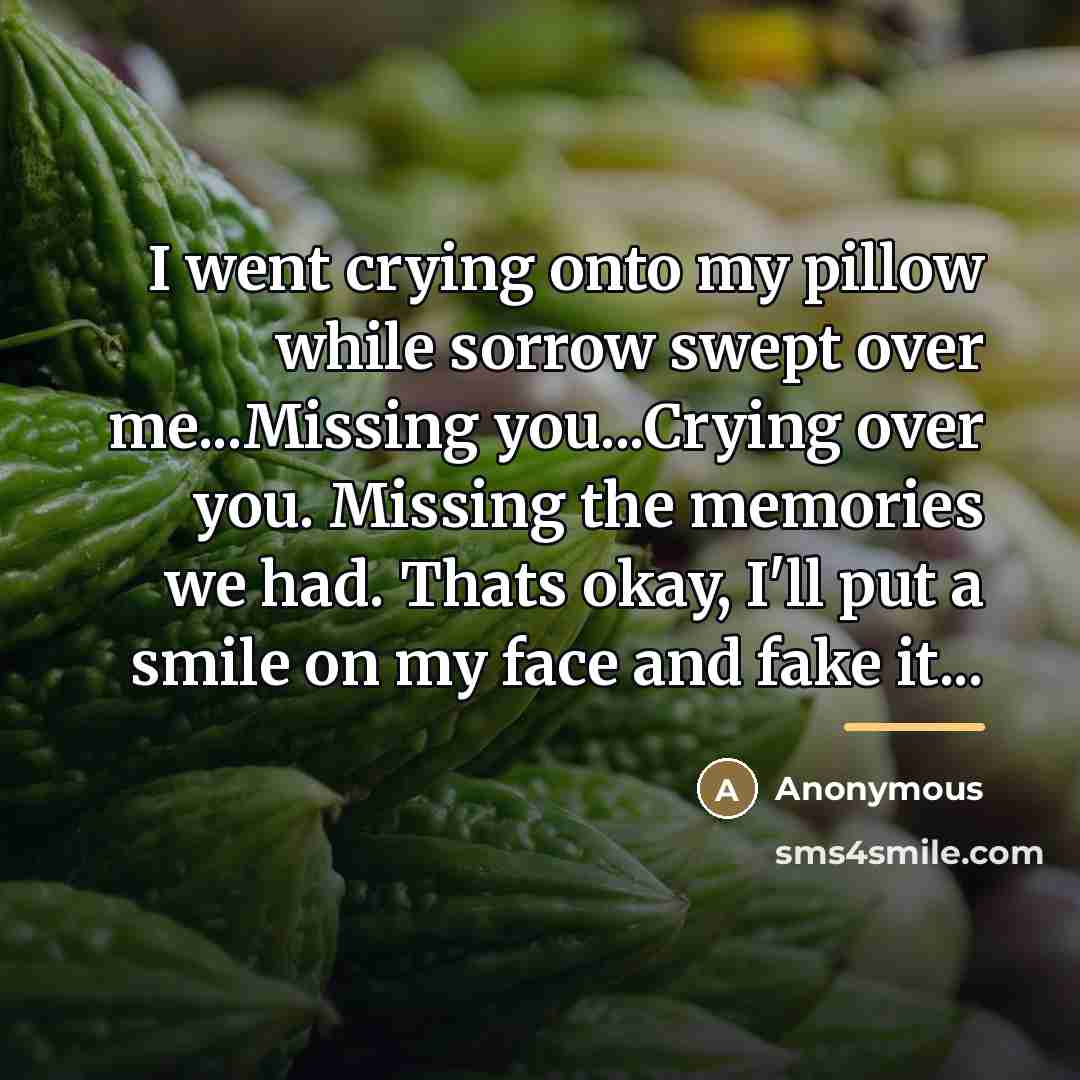 “I went crying onto my pillow while sorrow swept over…” quote by Anonymous