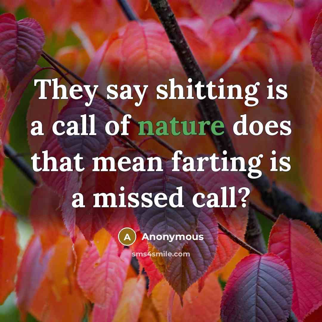 “They say shitting is a call of nature does that mean farting is a missed call?” quote by Anonymous