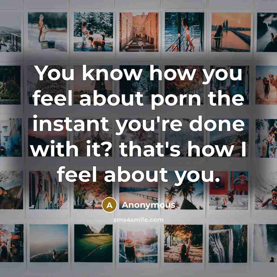 “You know how you feel about porn the instant you're done with it? that's how I feel about you.” quote by Anonymous
