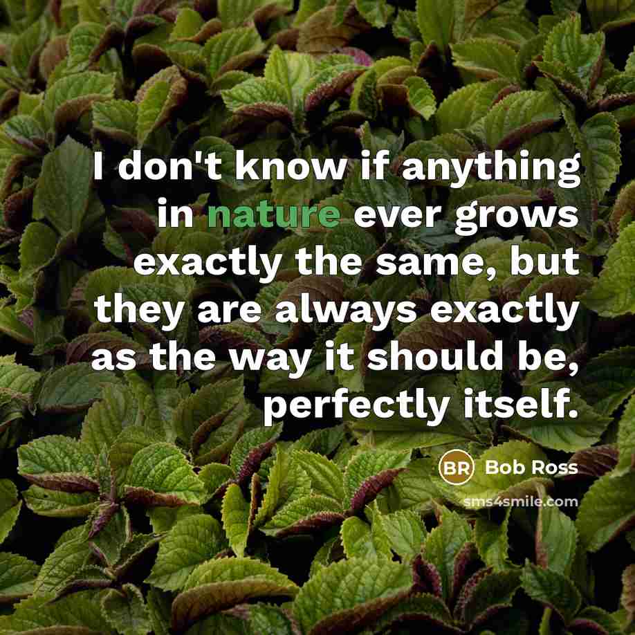 “I don't know if anything in nature ever grows exactly…” quote by Bob Ross
