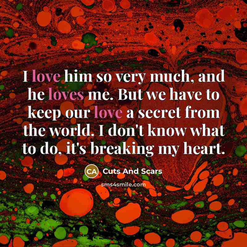 “I love him so very much, and he loves me. But we have to keep our love a secret from the world. I don't know what to do, it's breaking my heart.” quote by Cuts And Scars