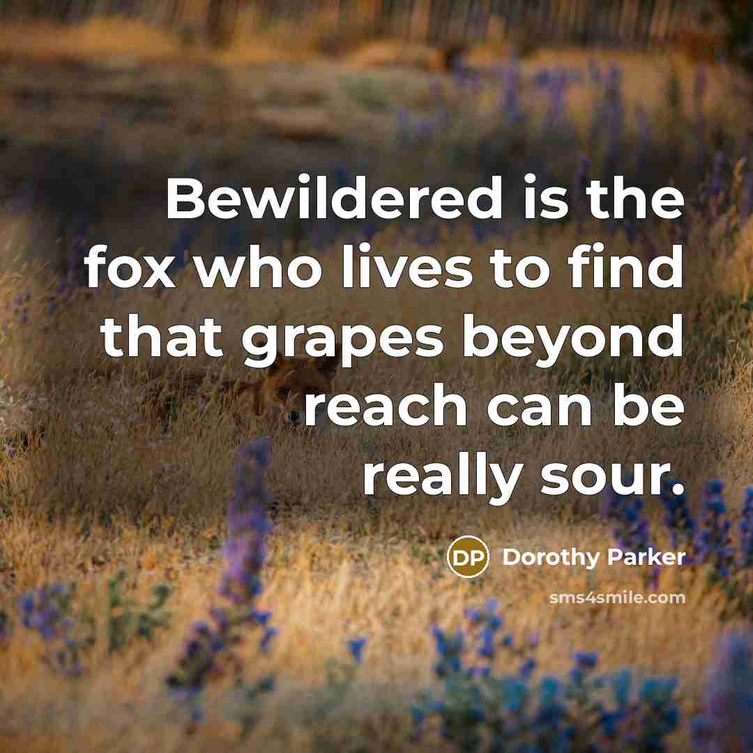 “Bewildered is the fox who lives to find that grapes…” quote by Dorothy Parker