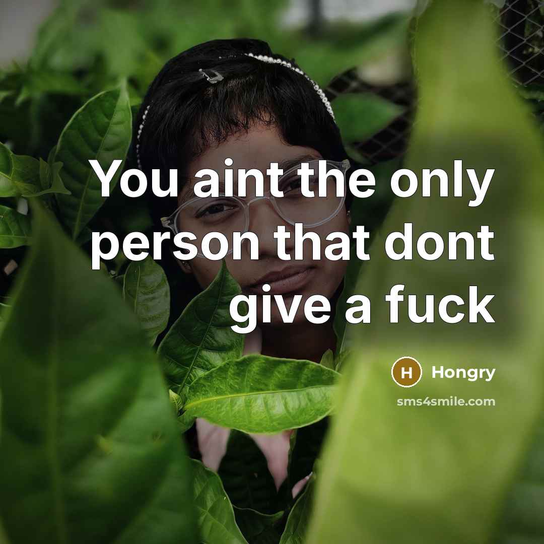 “You aint the only person that dont give a fuck” quote by Hongry