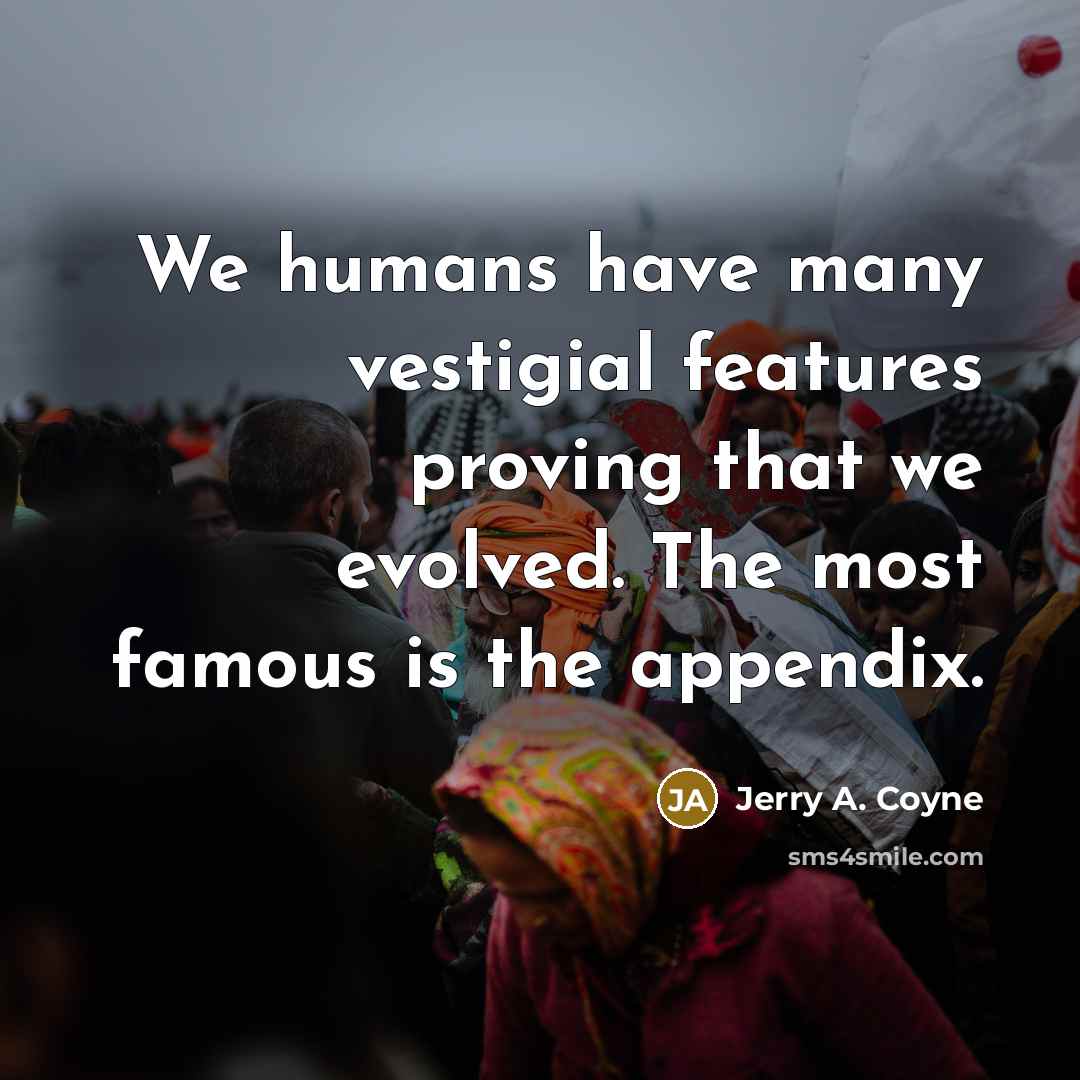 “We humans have many vestigial features proving that we evolved.…” quote by Jerry A. Coyne