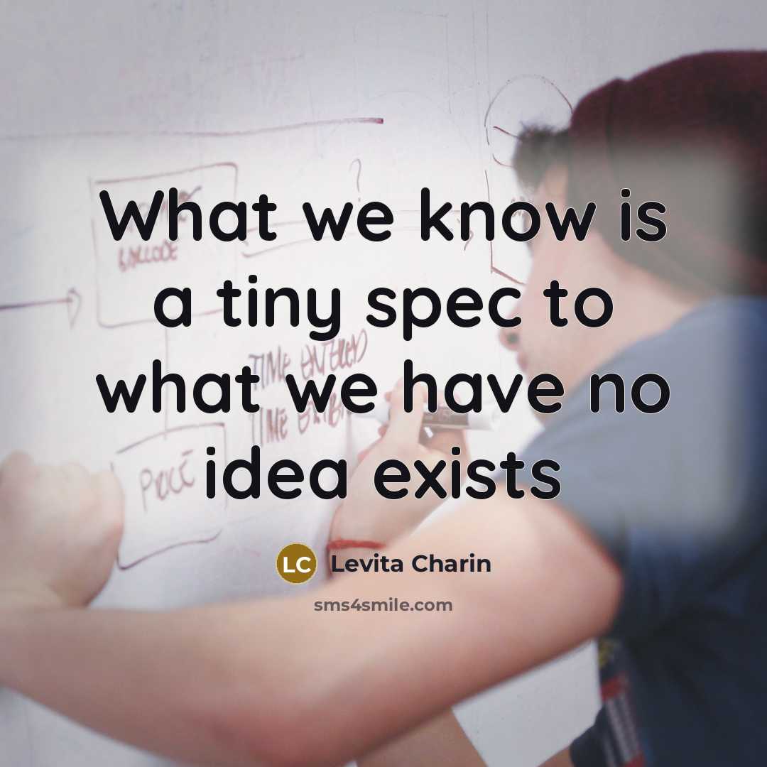 “What we know is a tiny spec to what we…” quote by Levita Charin