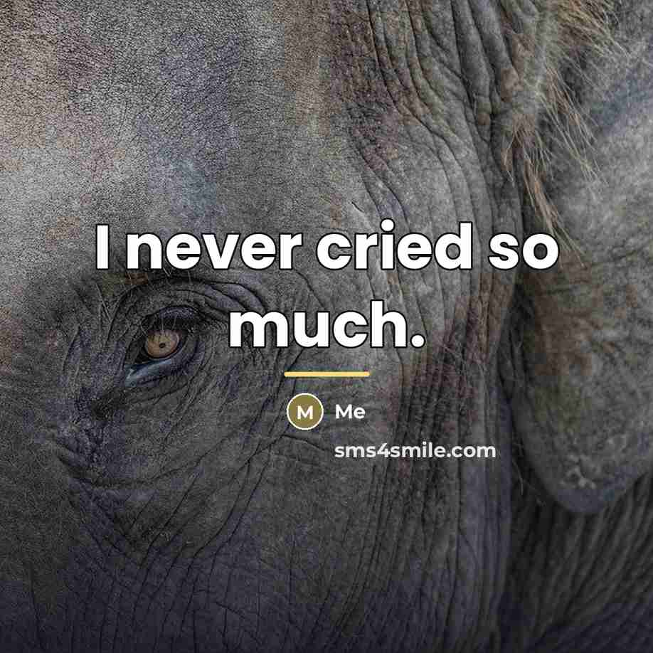 “I never cried so much.…” quote by Me