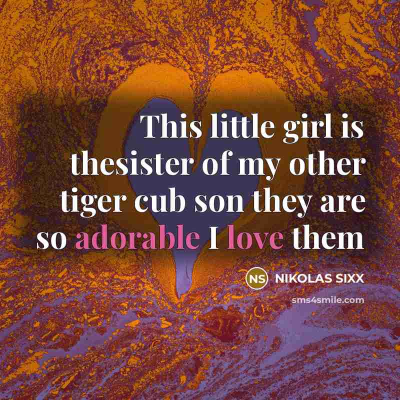 “This little girl is thesister of my other tiger cub son they are so adorable I love them” quote by Nikolas Sixx