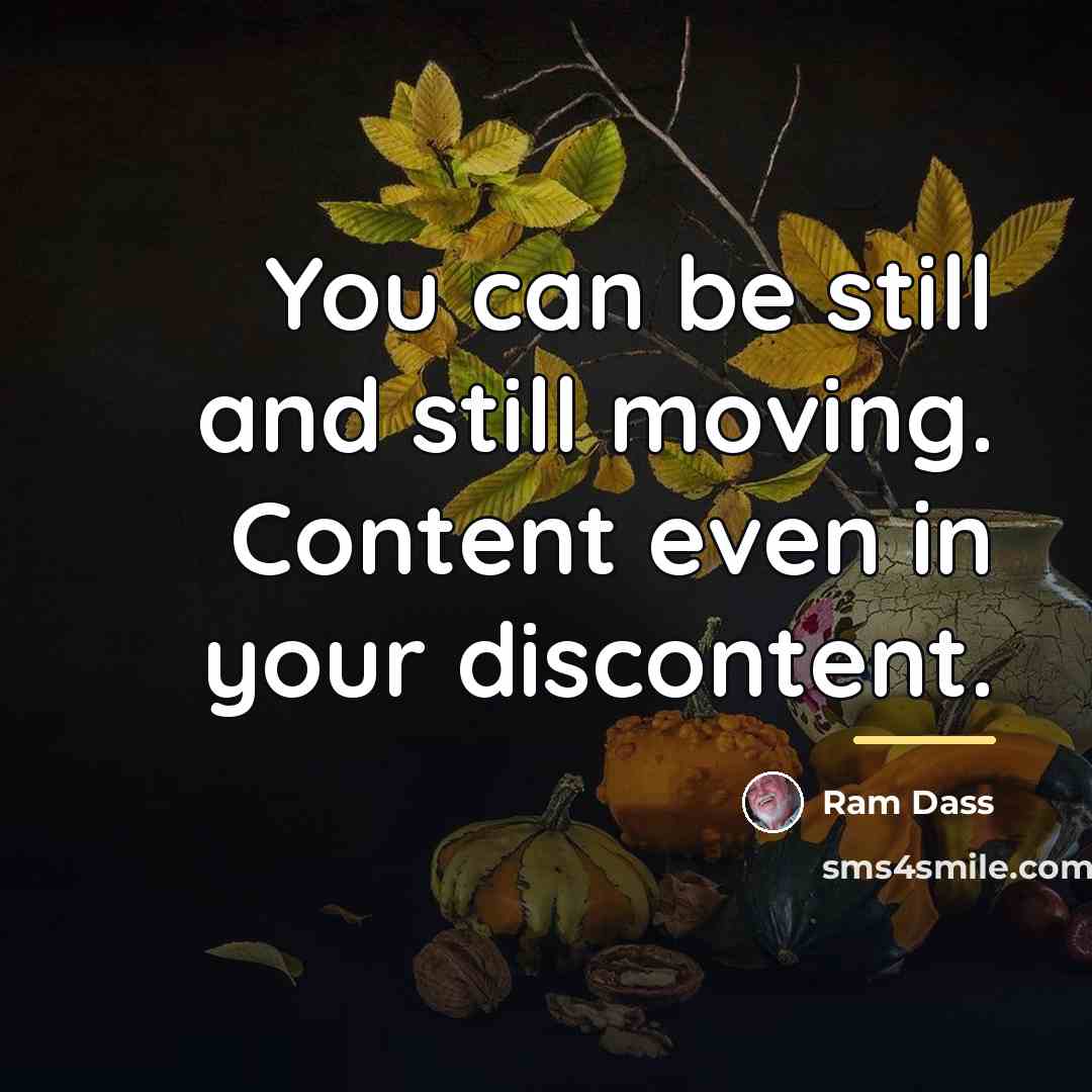 “You can be still and still moving. Content even in…” quote by Ram Dass