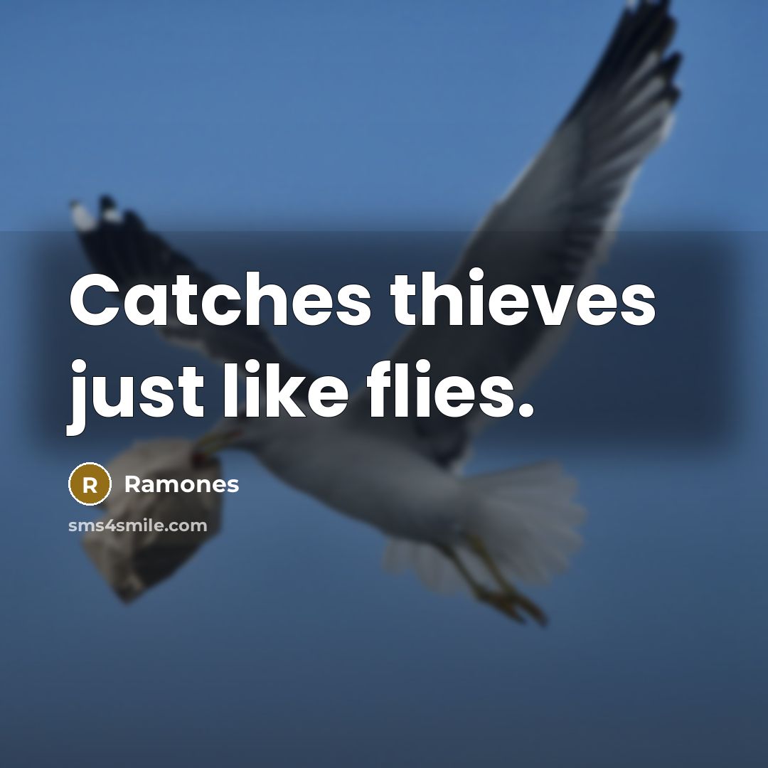 “Catches thieves just like flies.…” quote by Ramones