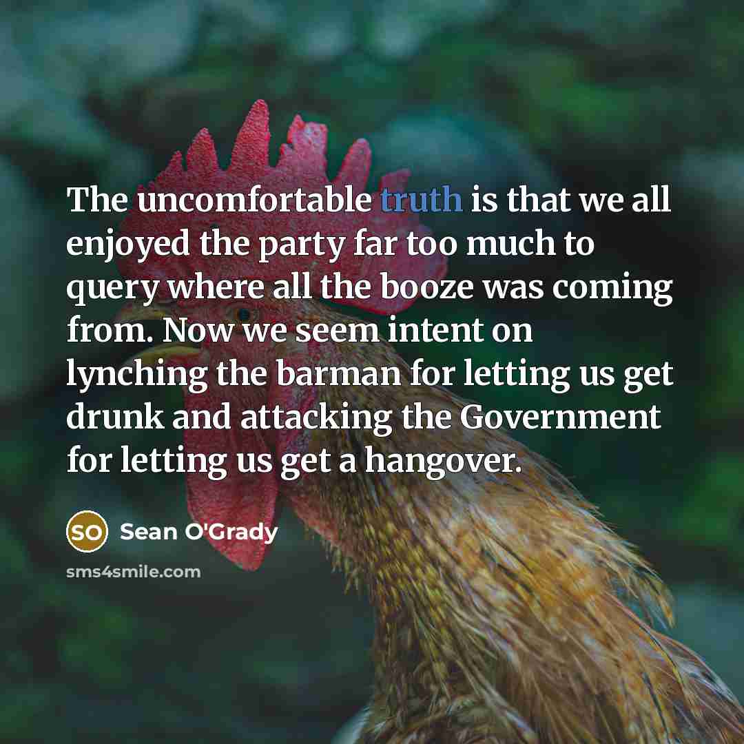 “The uncomfortable truth is that we all enjoyed the party…” quote by Sean O'Grady