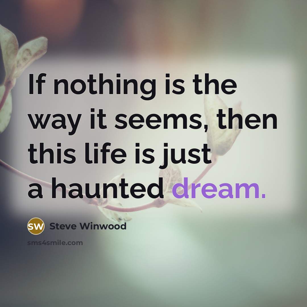 “If nothing is the way it seems, then this life…” quote by Steve Winwood