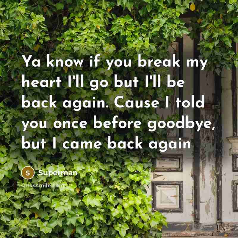 “Ya know if you break my heart I'll go but…” quote by Superman