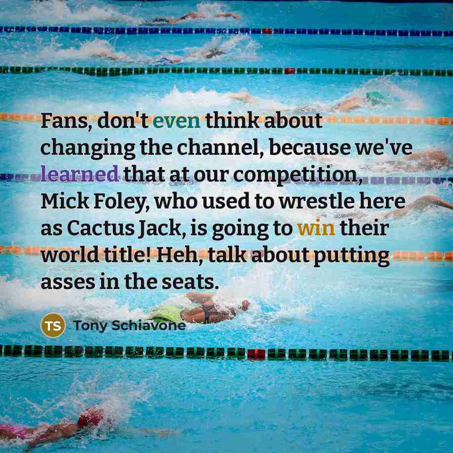 “Fans, don't even think about changing the channel, because we've learned that at our competition, Mick Foley, who used to wrestle here as Cactus Jack, is going to win their world title! Heh, talk about putting asses in the seats.” quote by Tony Schiavone