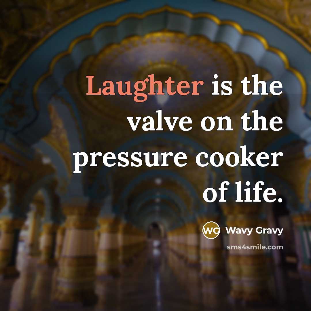 “Laughter is the valve on the pressure cooker of life.…” quote by Wavy Gravy