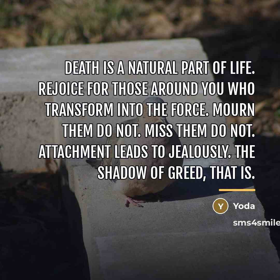 “Death is a natural part of life. Rejoice for those…” quote by Yoda