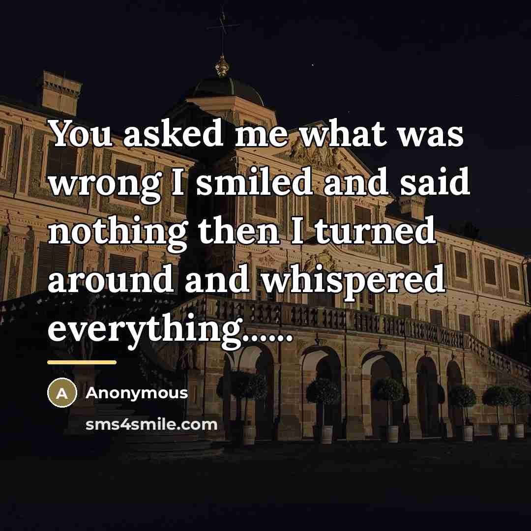 “You asked me what was wrong I smiled and said…” quote by Anonymous
