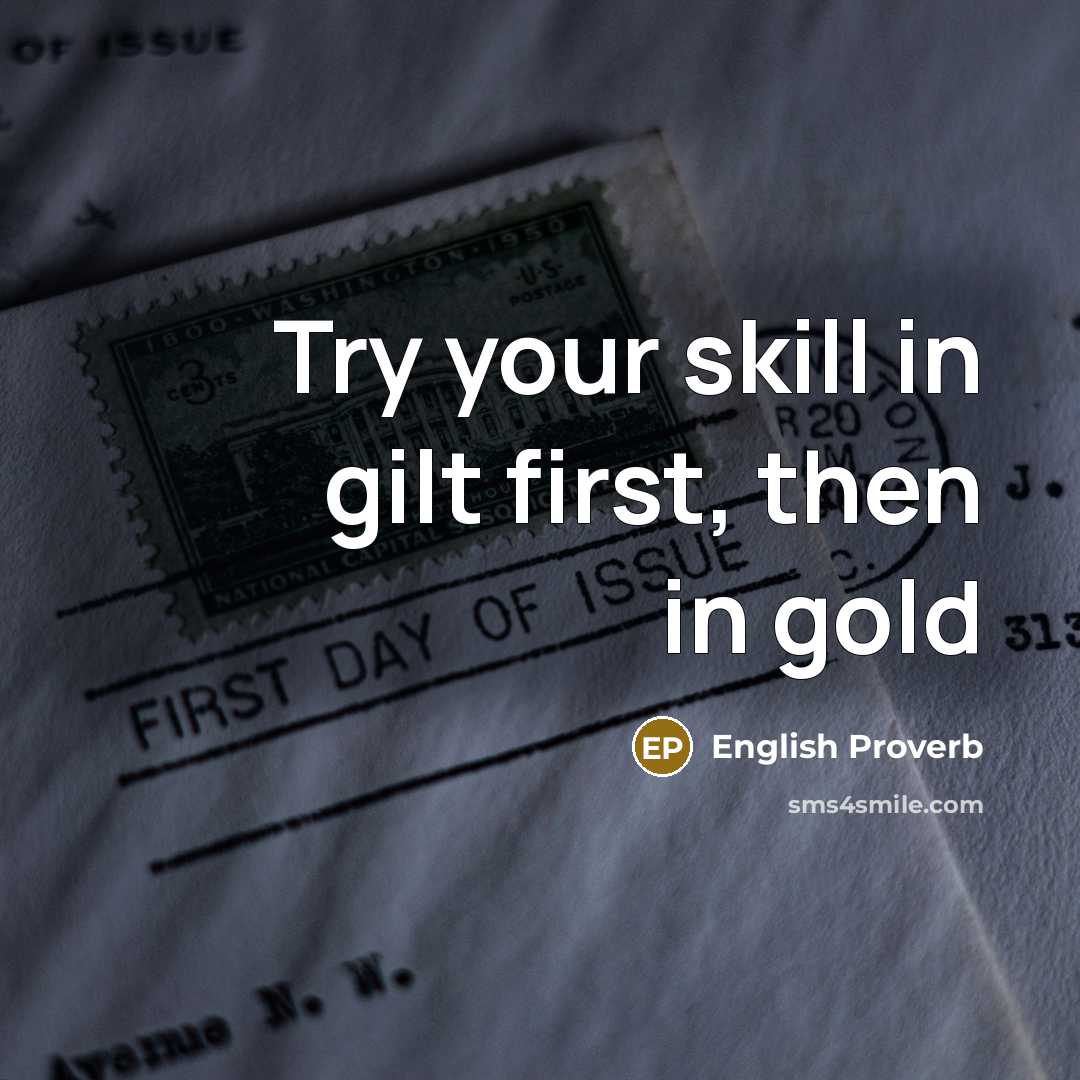 “Try your skill in gilt first, then in gold…” quote by English Proverb