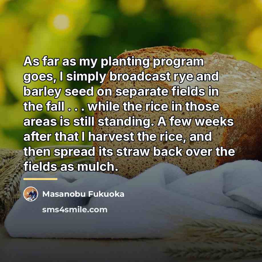 “As far as my planting program goes, I simply broadcast…” quote by Masanobu Fukuoka