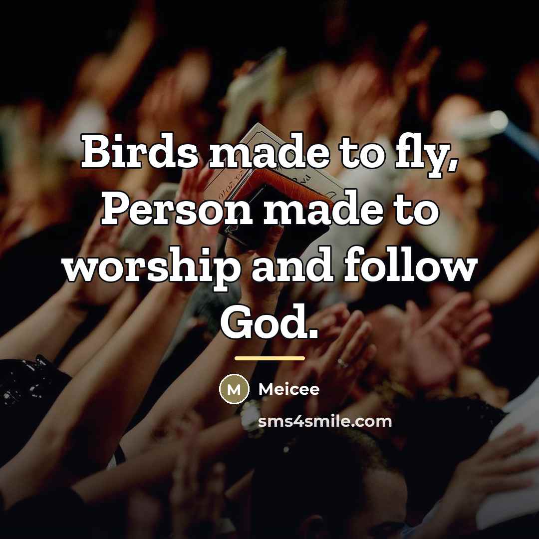 “Birds made to fly, Person made to worship and follow…” quote by Meicee